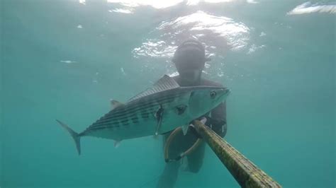 Descubre La Mejor Tienda De Pesca Submarina En Tenerife Equ Pate Para