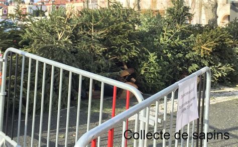 Trois points de dépôt pour les sapins de Noël Saint Jean de Luz