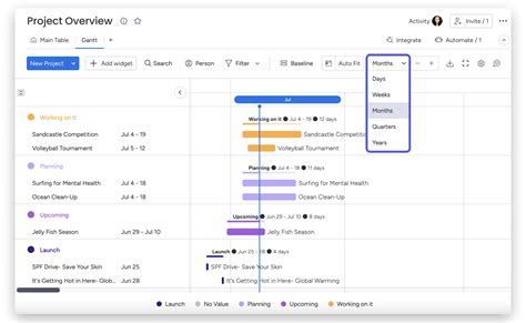 The Gantt Chart View and Widget – Support