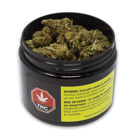 Eco-friendly packaging is the future of Nashville flower delivery 24