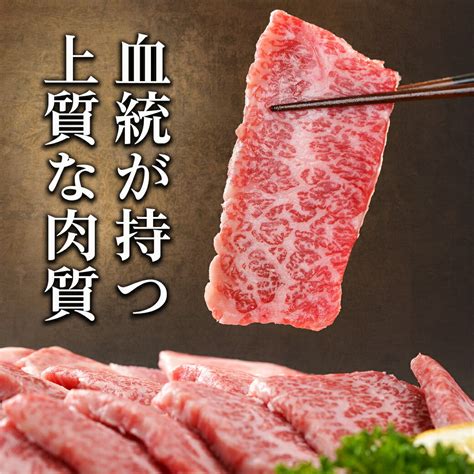 【楽天市場】【ふるさと納税】宮崎牛カルビ焼肉400g 宮崎県産宮崎牛 カルビ焼肉用 焼肉 バラ肉 カルビ 真空 真空スキンパック 急速冷凍