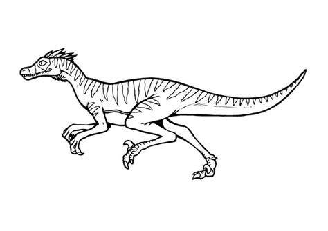 Disegno Da Colorare Velociraptor Disegni Da Colorare E Stampare