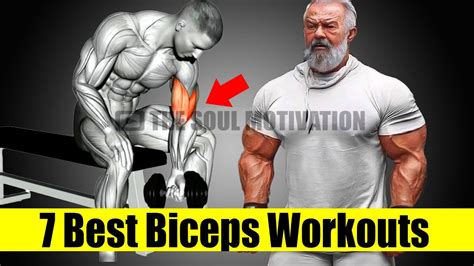 7 Best Wider Biceps Workouts For Build Biceps Fast أفضل تمارين العضلة