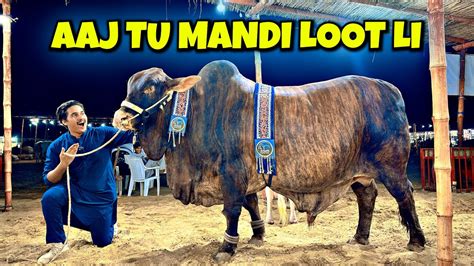 Aaj Mandi Loot Li Naseeb Ka Soda Hogaya Cow Mandi Vlog Janwar