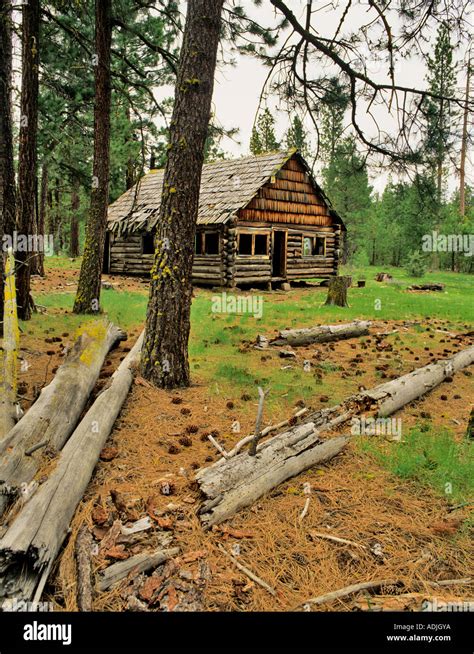 Abandoned Log Cabin Fremont National Forest Oregon Stock Photo Alamy