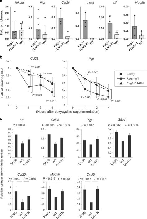 Pulmonary Regnase 1 Orchestrates The Interplay Of Epithelium And