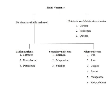 Ae Lesson 14 Essential Plant Nutrients