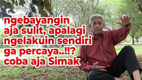 Pemulia Padi Menghasilkan Varietas Butuh Waktu Berapa Lama D