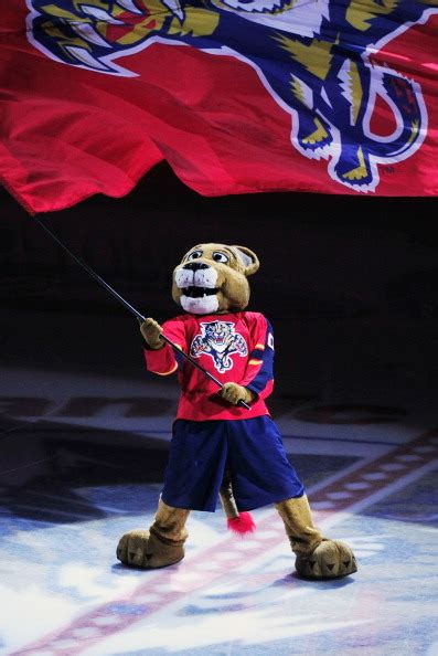 Florida Panthers Mascots Stock Photos And Pictures Getty Images