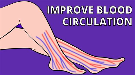 Diagram Of Blood Flow In Legs Poor Circulation Out Of The Fe