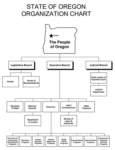 Three Branches Of Government Flow Chart