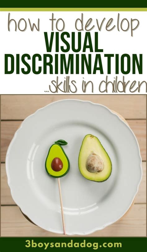 helping children develop visual discrimination skills  boys   dog