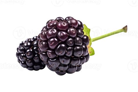 Fresh blackberry isolated on transparent background 27143744 PNG