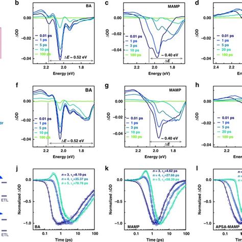 Carrier Dynamics Of Quasi 2d Perovskite Films Schematic Of Quasi 2d