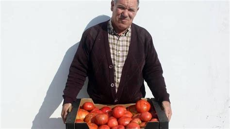 Tomates Como Los De Antes