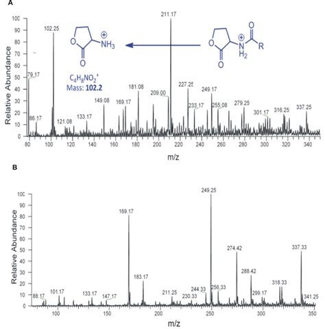 Mass Spectrometry Chromatogram Full MS Of AHLs Extracted From Strain