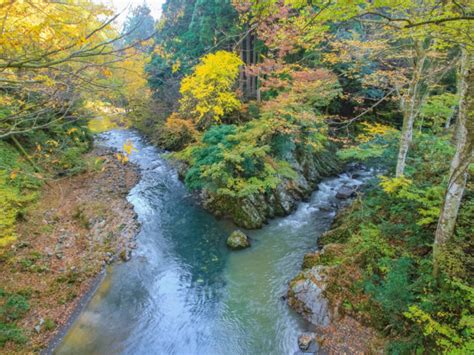 Amazing Things To Do In Fukui Japan Fromjapan