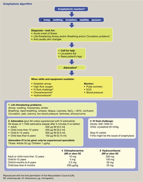 Anaphylaxis Medicine