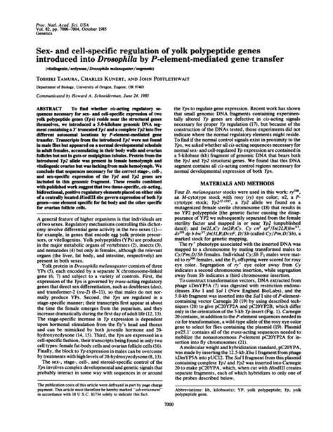 Pdf Sex And Cell Specific Regulation Of Yolk Polypeptide Genes Introduced Into Drosophila By P