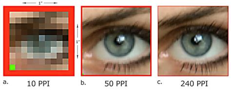 Che Rapporto C Tra Dimensione E Risoluzione Dei Display Murphy Lab