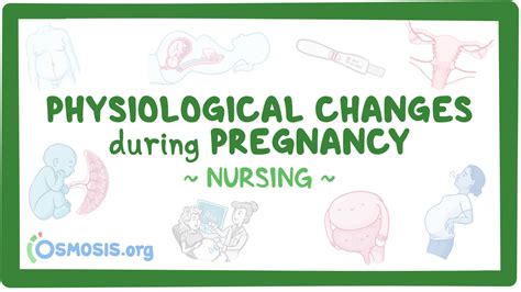 Physiologic Changes Pregnancy Nursing Video Causes Osmosis