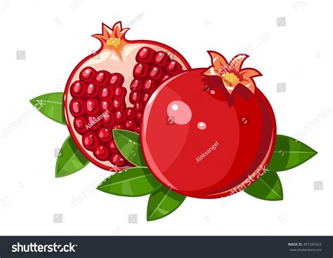 Pomegranatee Over 1 Royalty Free Licensable Stock Vectors Vector Art