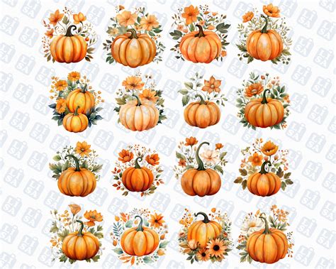 31 Floral Pumpkin Png Cute Boho Pumpkin Fall Sublimation Etsy