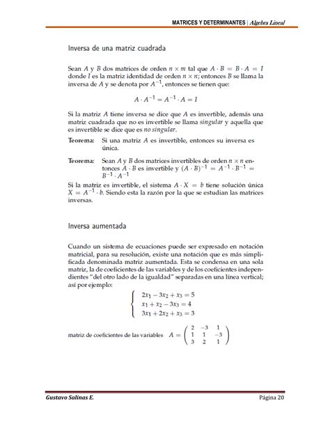 Matrices Y Determinantes PDF