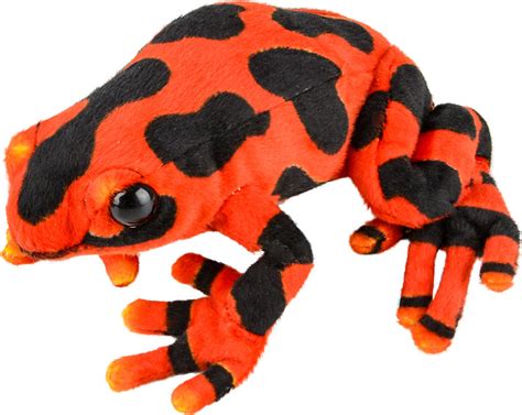 Poison Dart Frog Educational And Learning Toys Impression 5 Science