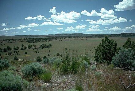 Oregon Desert Trail - Wikipedia