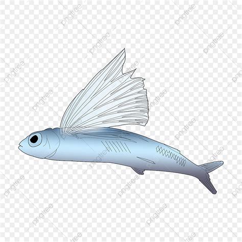 Hand Drawn Fish Png Transparent Ocean Simple Material Cartoon Hand