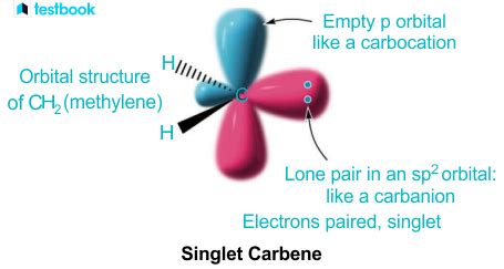 Carbene: Learn its Definition, Types, hybridisation & Reactions