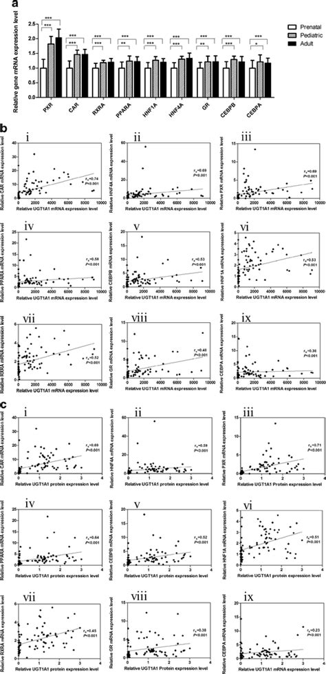 Analyses Of Correlations Between Expression Levels Of Ugt A And