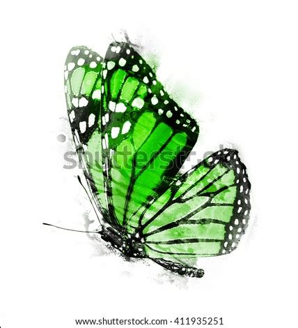 Watercolor Flying Butterfly Stock Illustration 411935251 - Shutterstock