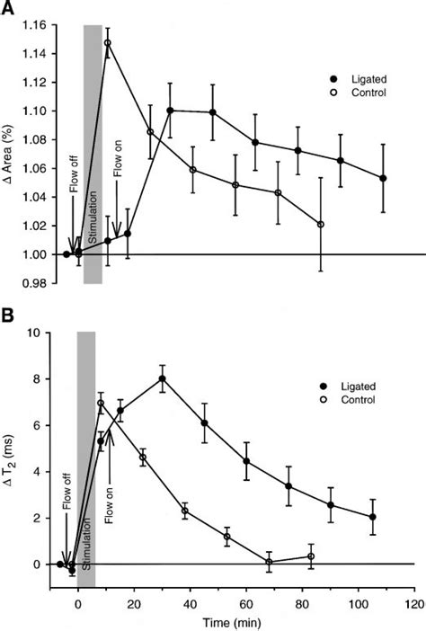 Change In Triceps Surae Muscle Cross Sectional Area A And T2 B