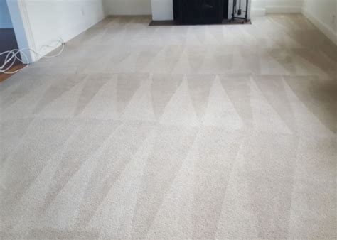 7 Tips for How to Make Your Old Carpet Look New