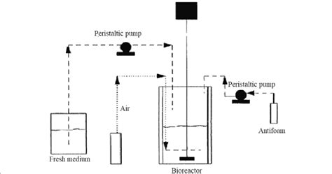 Schematic Diagram Of The Equipment Setup For Fed Batch Cultivation