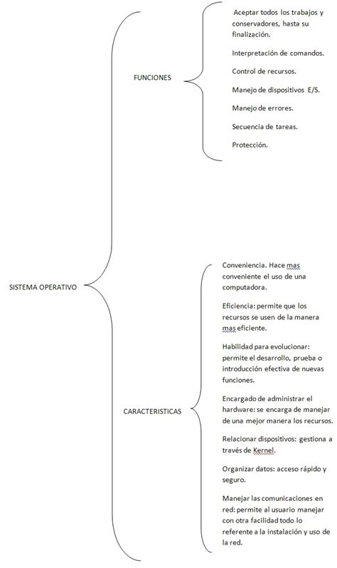 Diferenciar Las Funciones Cuadros Sinopticos Porn Sex Picture