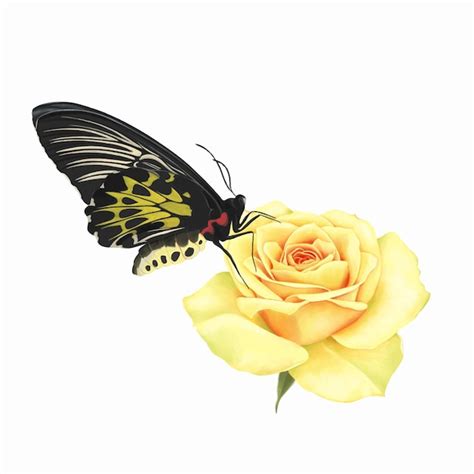 Premium Vector Yellow Rose With A Butterfly