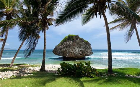 Landscape Sea Bay Water Nature Shore Sand Beach Coast Palm