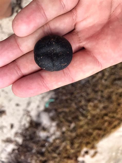 Saturday Afternoon Photos on North Ambergris Caye | San Pedro Scoop