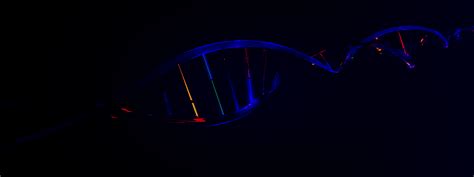 DNA Helix - CG Cookie