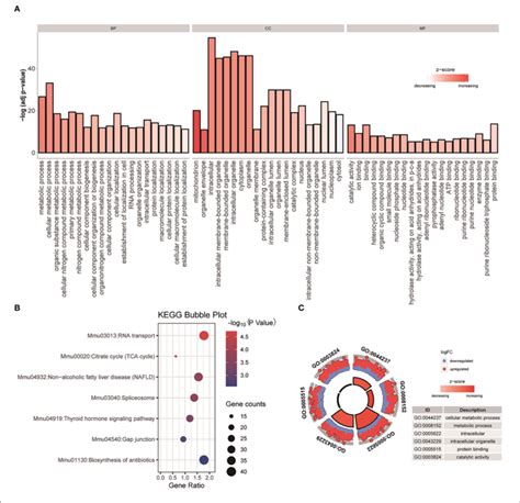 GO And KEGG Analysis Were Performed On The Differential Genes With