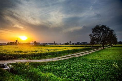 Landscape Nature Sunset Field Farm Countryside Pakistan Hd