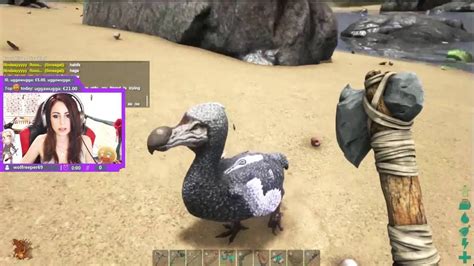 Ark Survival Evolved Dodo