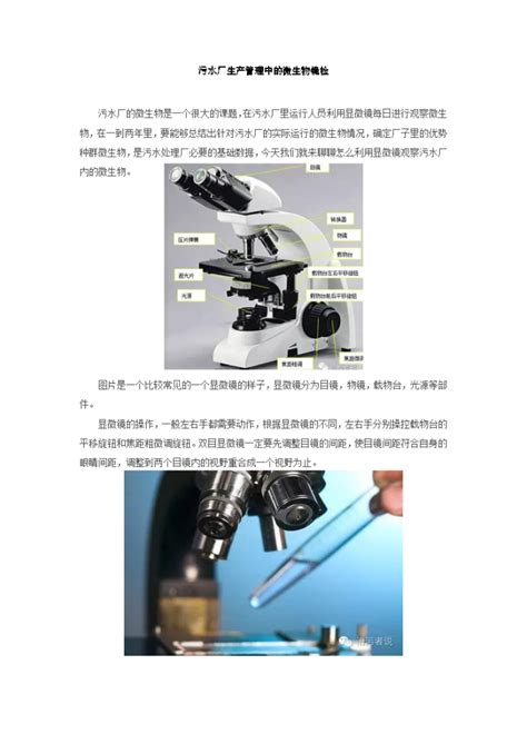 微生物镜检 微生物镜检 微生物镜检土木在线