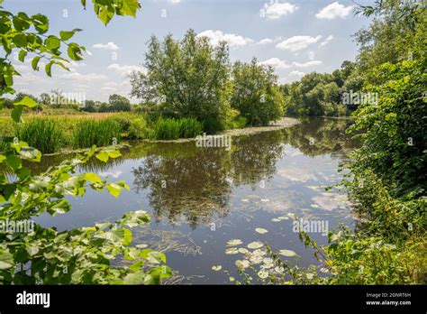 River Soar between Rothley and River Soar Mountsorrel Leicestershire ...