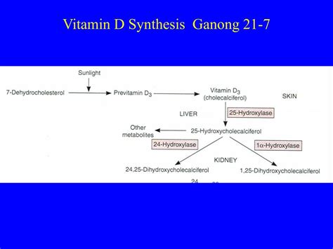 Ppt Synovium Non Synovial Joints And Bone Physiology And Diseases Powerpoint Presentation