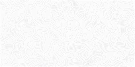 topographic  contour map background geographic grid map abstract