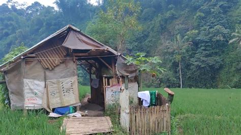 Luar Biasa Satu Keluarga Ini Memilih Tinggal Di Rumah Tengah Sawah